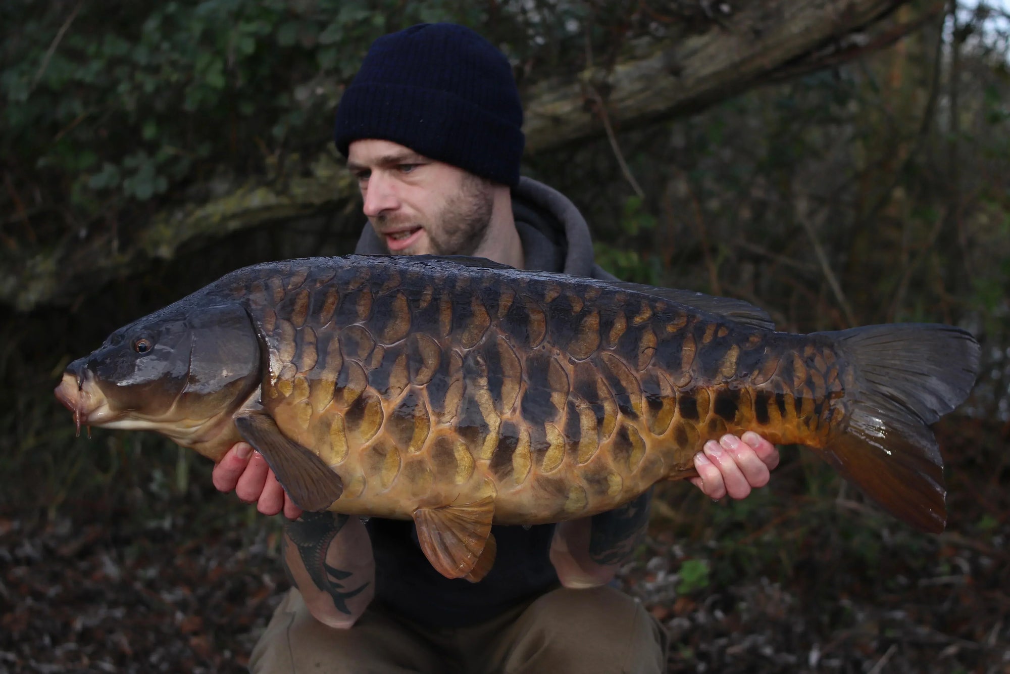 Cold water carping Wychwood