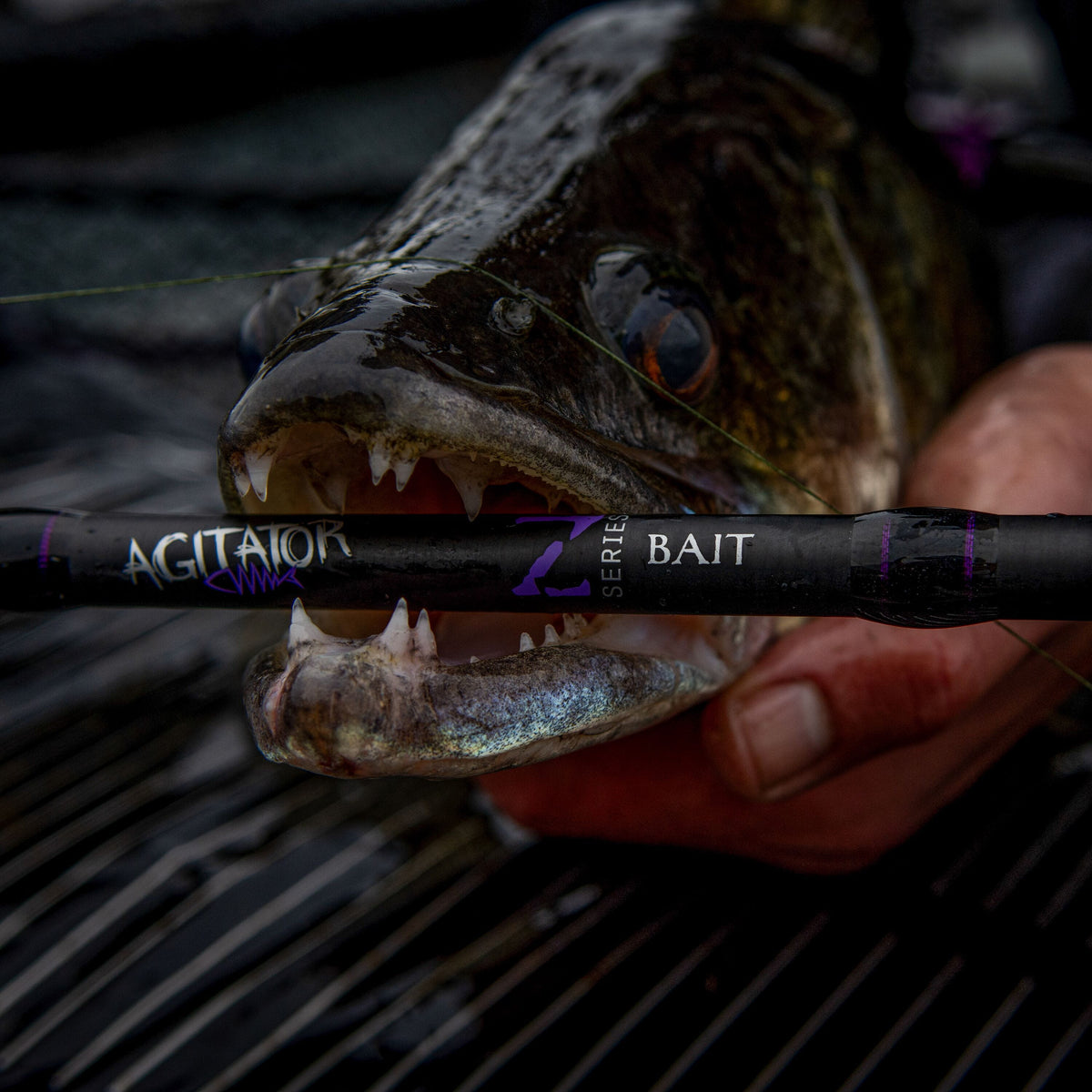 Agitator Z-Series Bait 12ft/360cm 2.25lb Bait Fishing Rod
