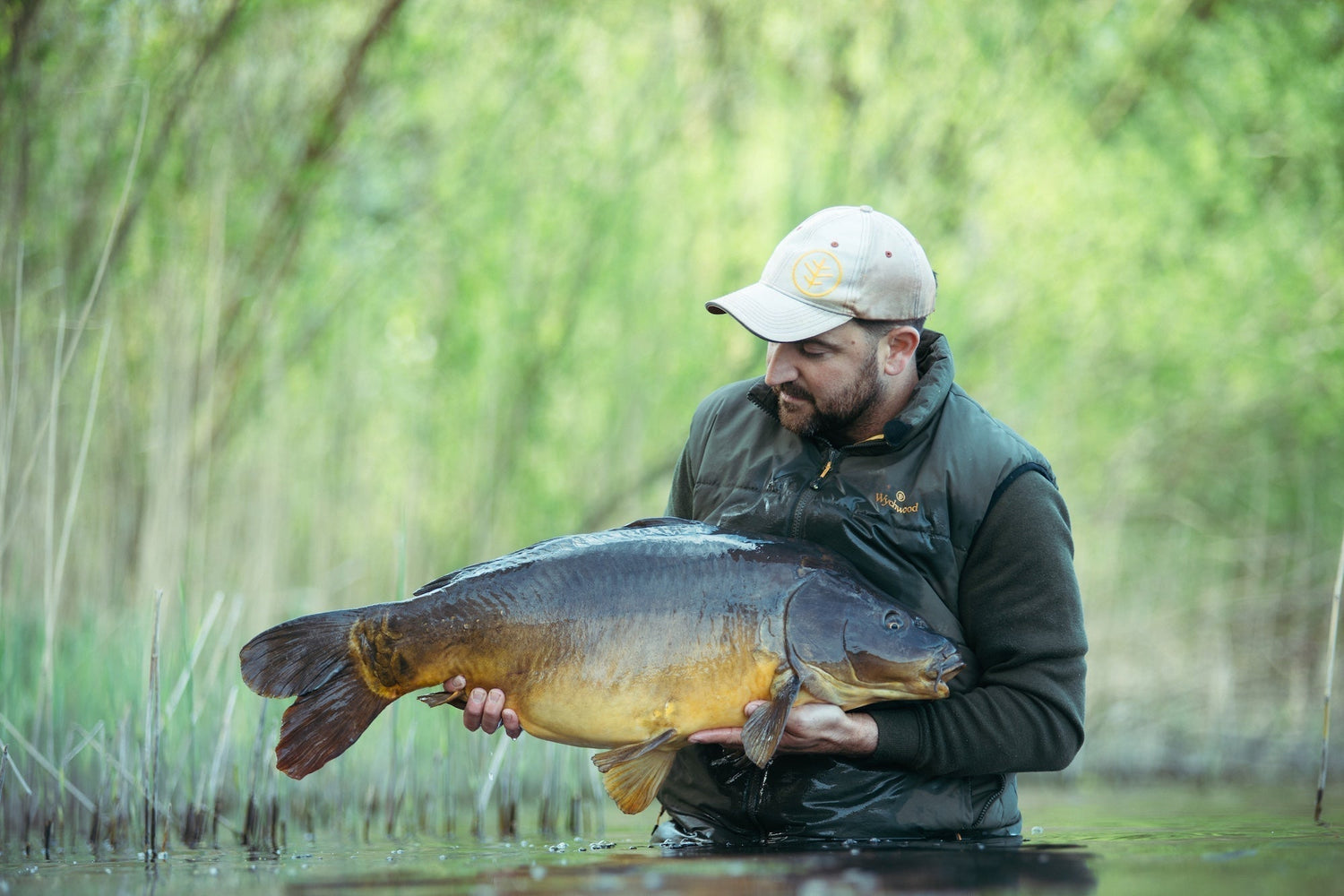 VIDEO: Exploring Belgium Wychwood