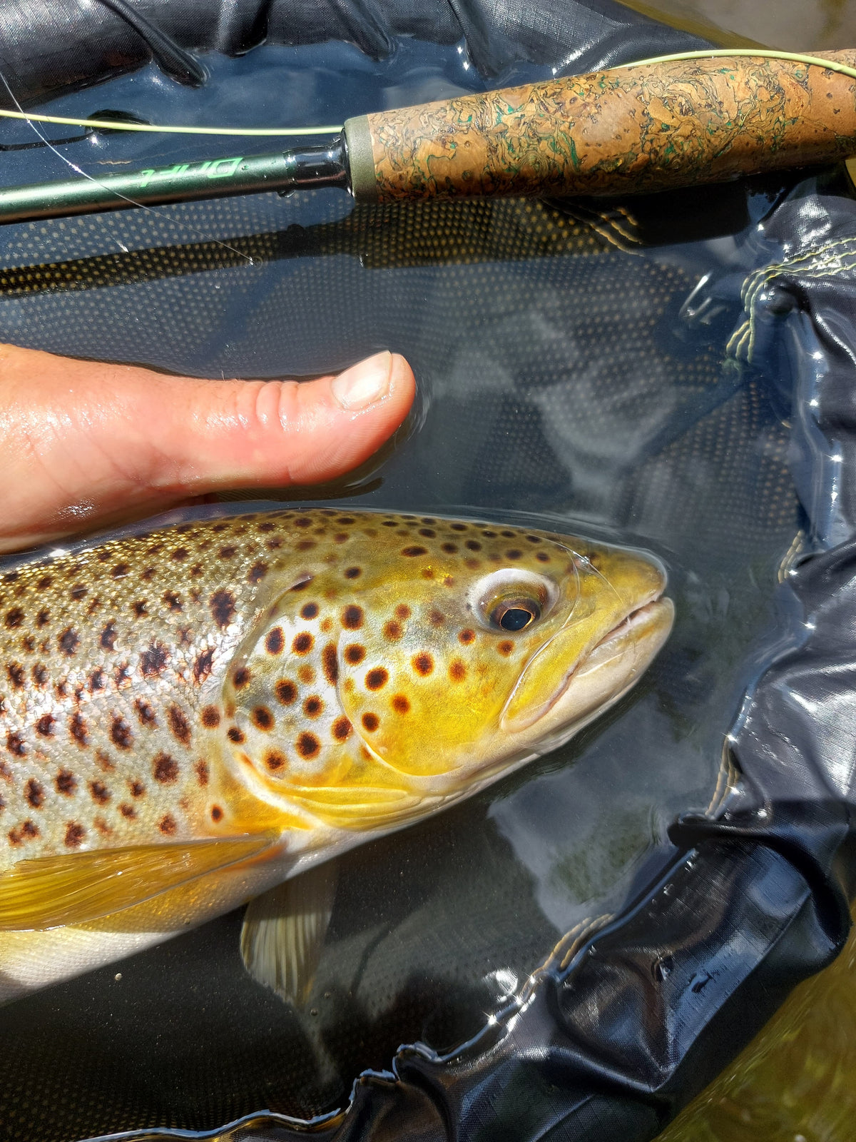 Trout Fishing | Brave, Daft or Just Obsessed? Wychwood