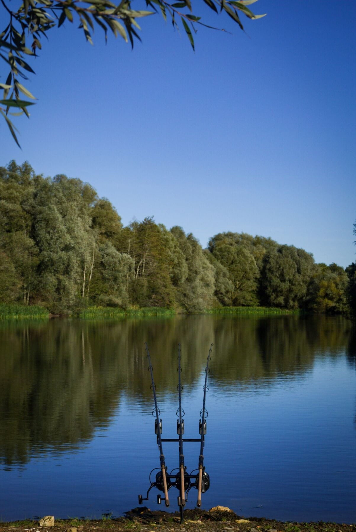 Epic 12ft/360Cm 3.25lb 50mm 2pc Full Shrink All Round Action Fishing Rod