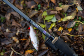 Agitator 12ft BR-S Long range 3.75lb Fishing Rod