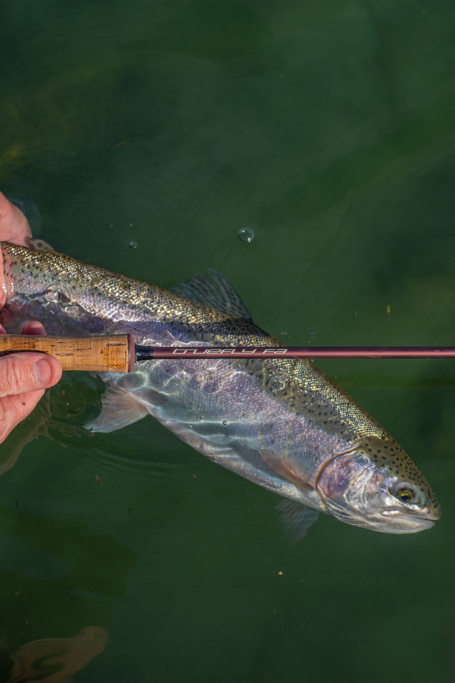 Truefly FA 9ft/274cm 6 Weight Fly Fishing Rod   Wychwood