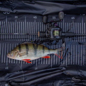 Agitator Z-Series Cast 6ft 2in/188cm 12-25gr Lure Fishing Rod