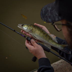 Agitator DS MKII Dropshot 7ft 3in/221cm 5-20gr Lure Fishing Rod