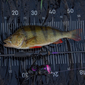 Agitator DS MKII Dropshot 7ft 3in/221cm 5-20gr Lure Fishing Rod