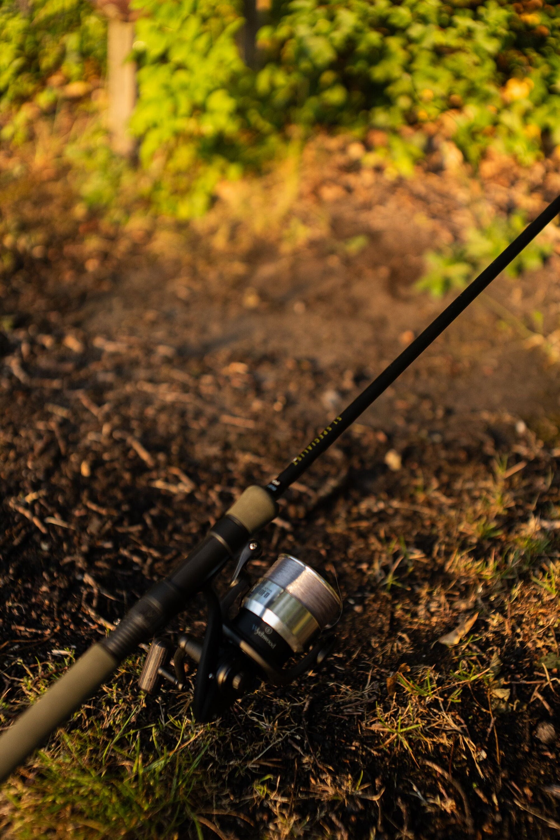 Specialist 12ft FLTR Fishing Rod