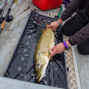 Agitator Sling Mat Retainer